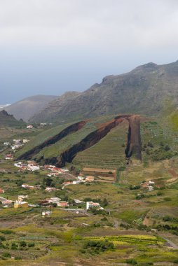 Portello. masca. Tenerife. İspanya