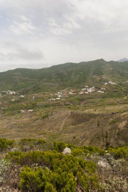 Portello. masca. Tenerife. İspanya