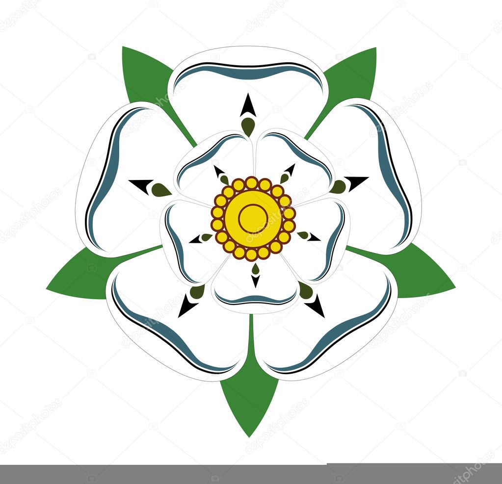 White rose of Yorkshire