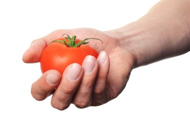 Hand holding tomato clipart