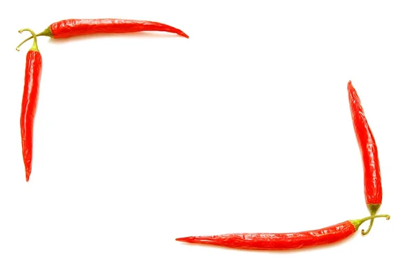 Červená chilli — Stock fotografie