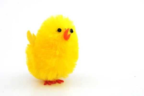 Easter chicken decorations — Stock Photo, Image