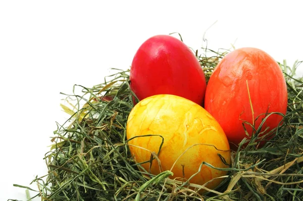 Ovos de Páscoa em cesta — Fotografia de Stock
