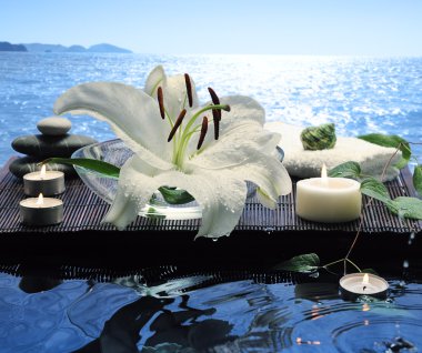 Sea spa clipart