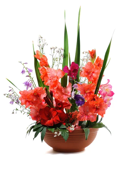 Gladiolus floral composition — Stock Photo, Image