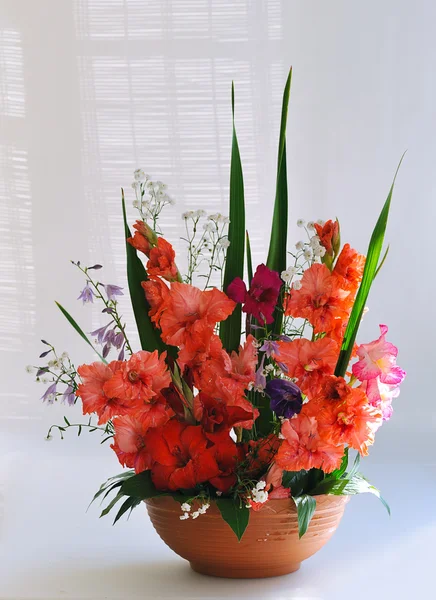 Gladiolus floral composition — Stock Photo, Image