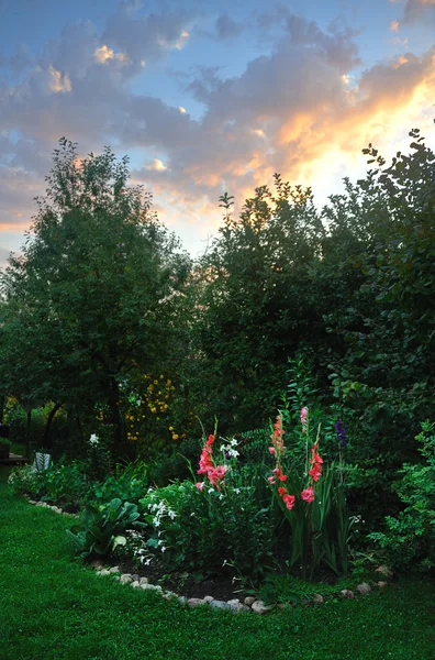Сутінки сад — стокове фото