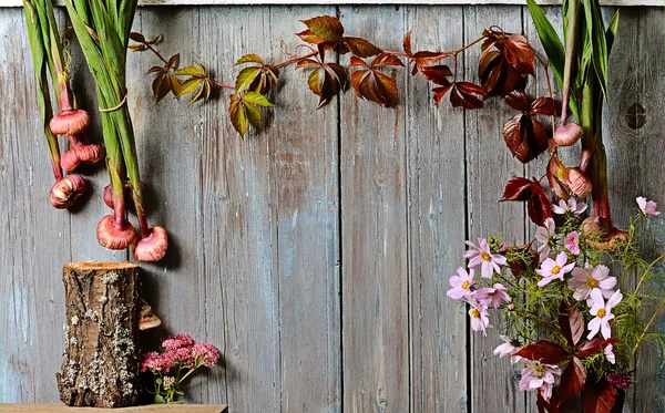 Autumn vintage background — Stock Photo, Image