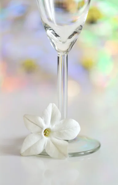 Glas met bloem — Stockfoto