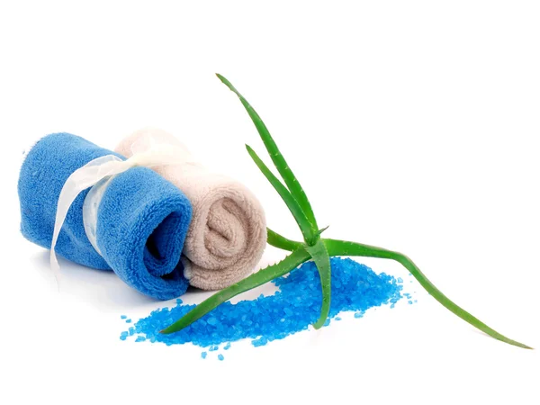Mjuka handdukar och aloe - spa koncept — Stockfoto