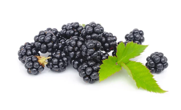 Čerstvé bobule blackberry s zelená listová izolovaných na bílém pozadí — Stock fotografie