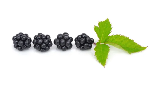 Taze berry blackberry ile izole beyaz zemin üzerine yeşil yaprak — Stok fotoğraf