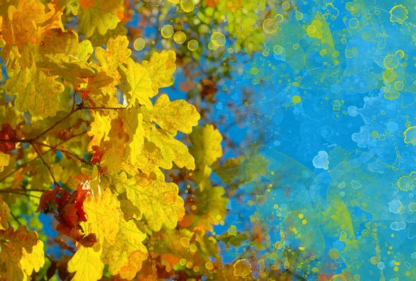 Осенний художественный фон для вашего дизайна — стоковое фото