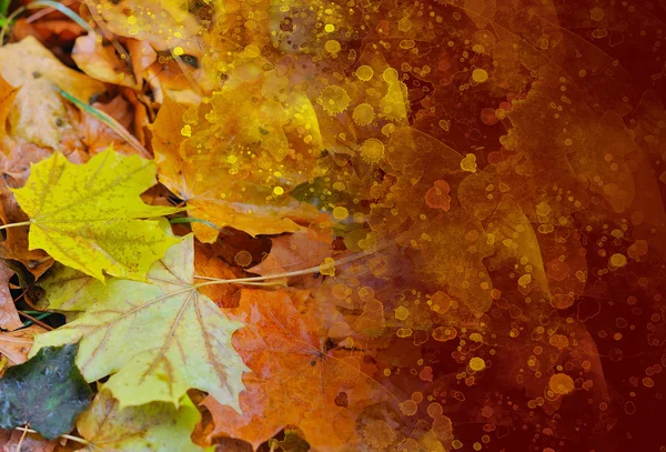 Krásné podzimní umění pozadí pro váš návrh — Stock fotografie