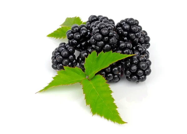Verse bessen blackberry met groen blad geïsoleerd op witte achtergrond — Stockfoto