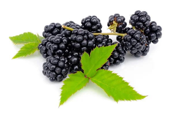 Čerstvé bobule blackberry s zelená listová izolovaných na bílém pozadí — Stock fotografie