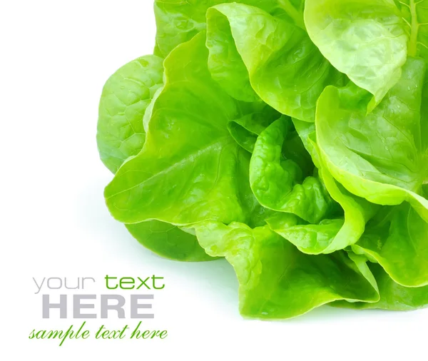 Salada verde fresca isolada sobre fundo branco — Fotografia de Stock