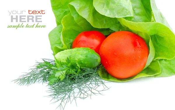 Verduras frescas y ensalada verde aisladas sobre fondo blanco —  Fotos de Stock