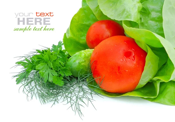 Frisches Gemüse und grüner Salat isoliert auf weißem Hintergrund — Stockfoto