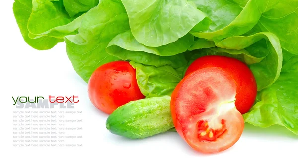 新鲜的蔬菜和孤立在白色背景上的绿色沙拉 — 图库照片