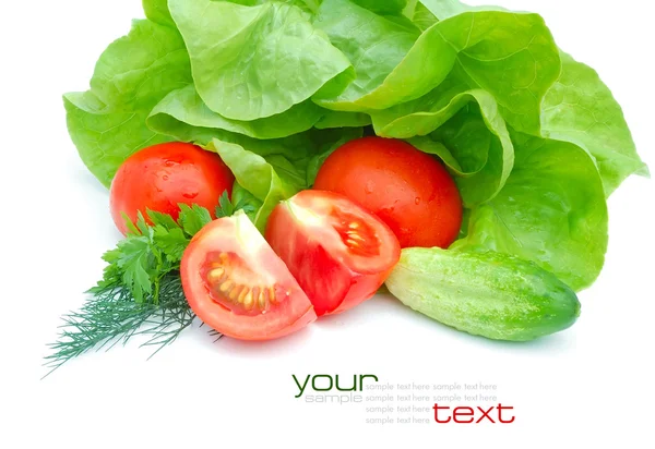 신선한 야채와 흰색 배경에 고립 된 그린 샐러드 — 스톡 사진