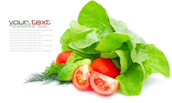 Свежие овощи и зеленый салат на белом фоне — стоковое фото