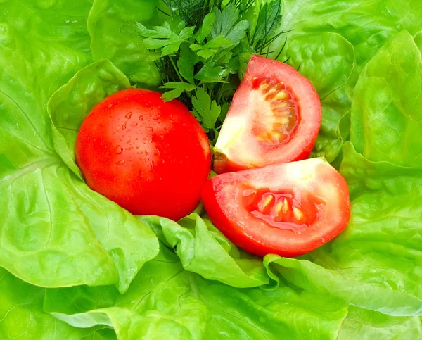 Färska tomater och grönska på grönsallad — Stockfoto
