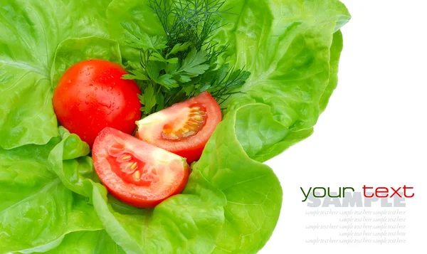 Tomates frescos y vegetación sobre ensalada verde aislada sobre fondo blanco —  Fotos de Stock