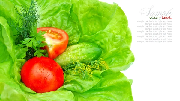 Fresh vegetables and greenery on green salad — Stock Photo, Image