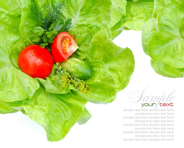 Φρέσκα λαχανικά και πράσινη σαλάτα που απομονώνονται σε λευκό φόντο — Φωτογραφία Αρχείου