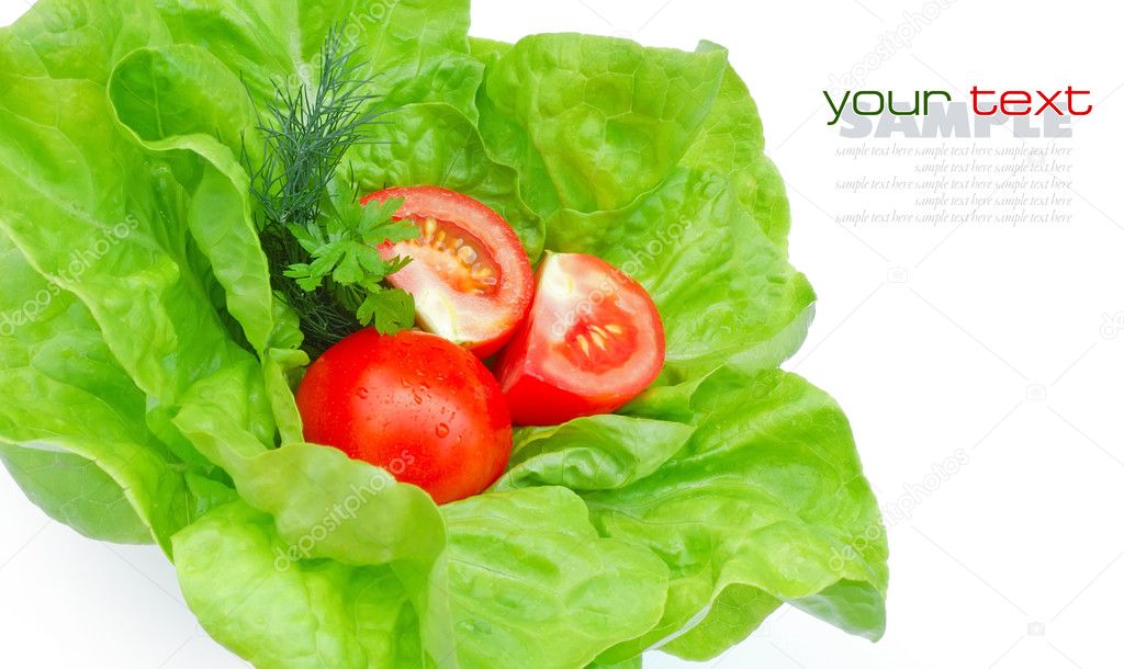 Fresh tomatoes and greenery on green salad isolated on white background