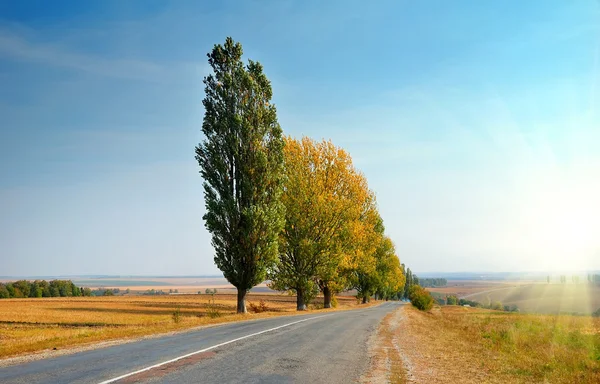 Осенний пейзаж с дороги — стоковое фото
