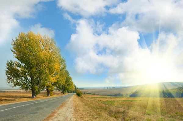 Осенний пейзаж с дороги — стоковое фото