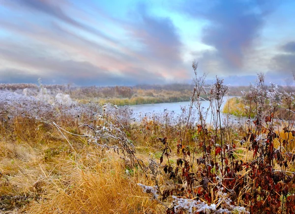Zugefrorene Herbstwiese im Morgengrauen — Stockfoto