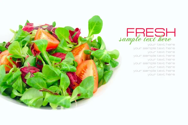 Frischer gemischter Salat mit Tomaten auf weißem Hintergrund — Stockfoto
