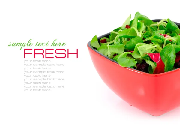 Ensalada fresca está en un plato rojo sobre un fondo blanco — Foto de Stock