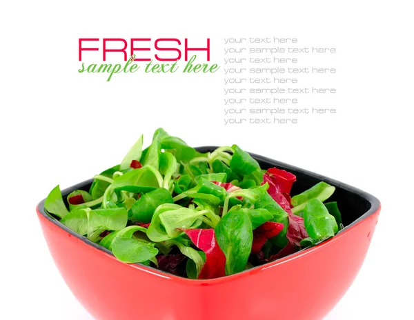 Ensalada fresca está en un plato rojo sobre un fondo blanco — Foto de Stock