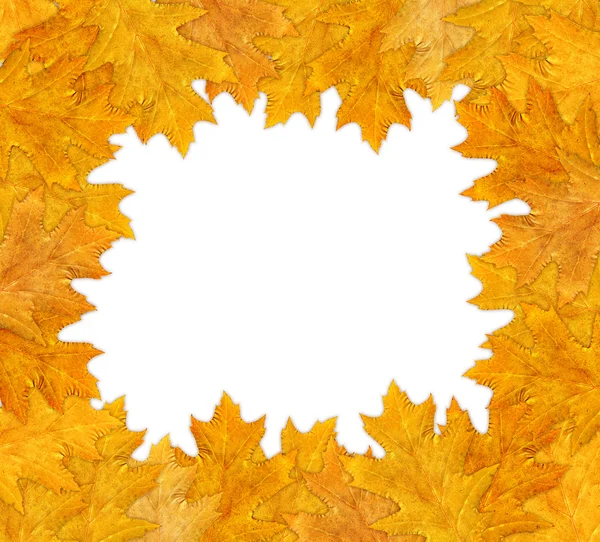 Herbstrahmen — Stockfoto