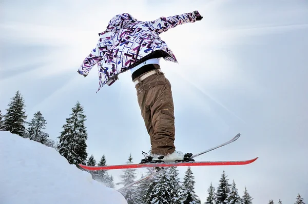 stock image The Skier