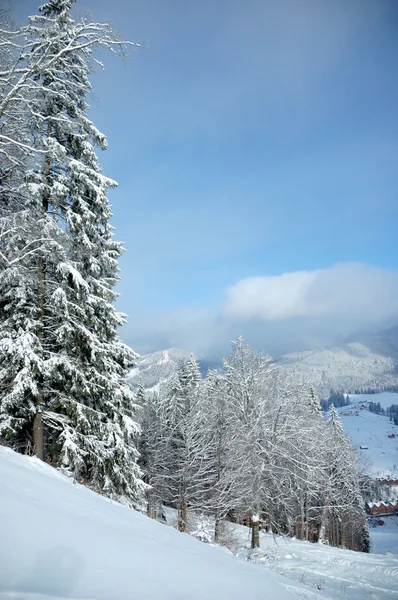 Gyönyörű téli táj hóval borított fák — Stock Fotó