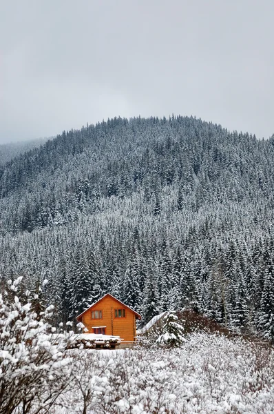 Zimní stromy v horách pokryté čerstvým sněhem — Stock fotografie