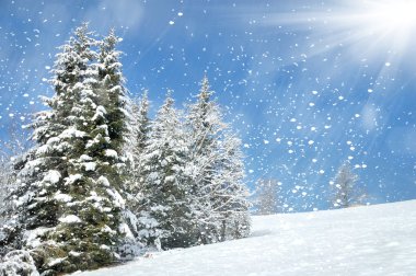 Beautiful winter landscape with snow covered trees clipart