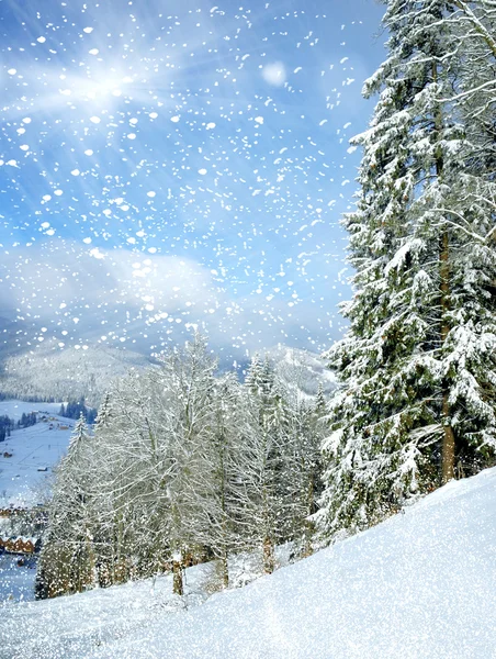 Wunderschöne Winterlandschaft mit schneebedeckten Bäumen — Stockfoto