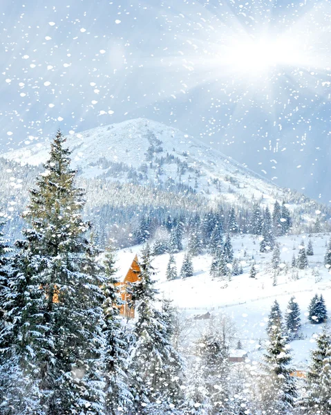 Árvores de inverno em montanhas cobertas de neve fresca — Fotografia de Stock