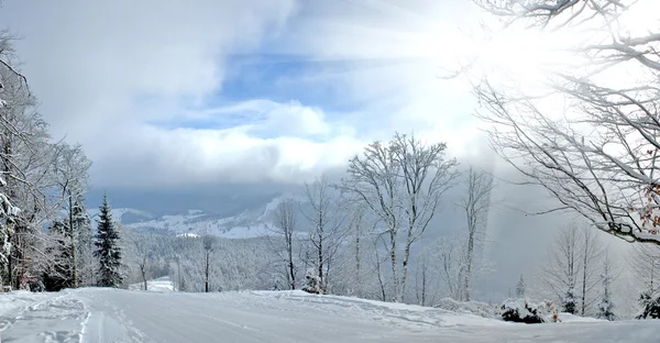 Zimowe drzewa w górach pokryte świeżym śniegiem — Zdjęcie stockowe