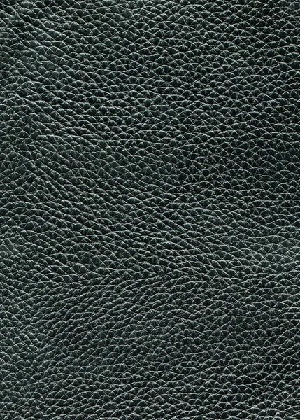 Texture de cuir pour le fond — Photo