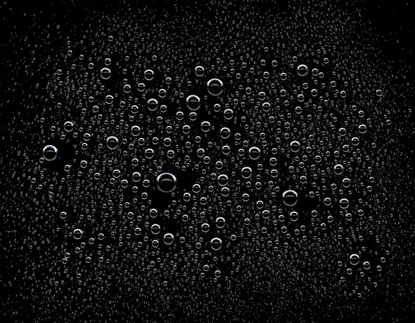 Water drops on black background — Stock Photo, Image