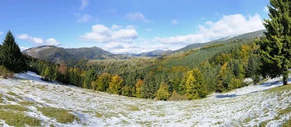 最初の冬の雪の山の森林 — ストック写真