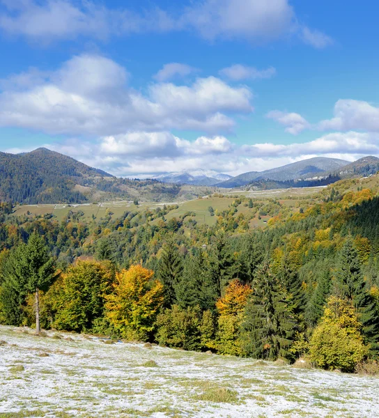 Bosque de montaña con primera nieve de invierno — Foto de Stock