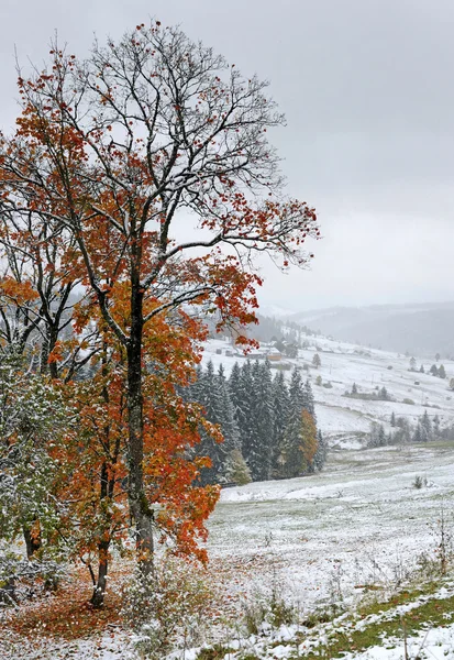 第一次秋季突然雪 — 图库照片